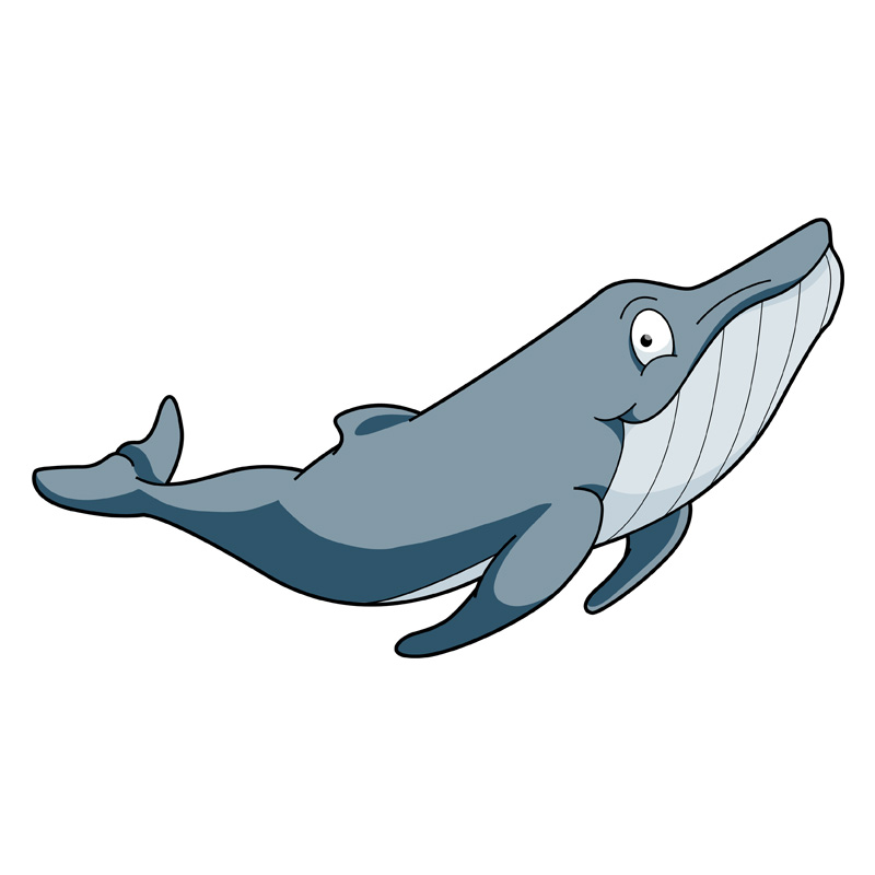 L19 Humphrey The Humpback