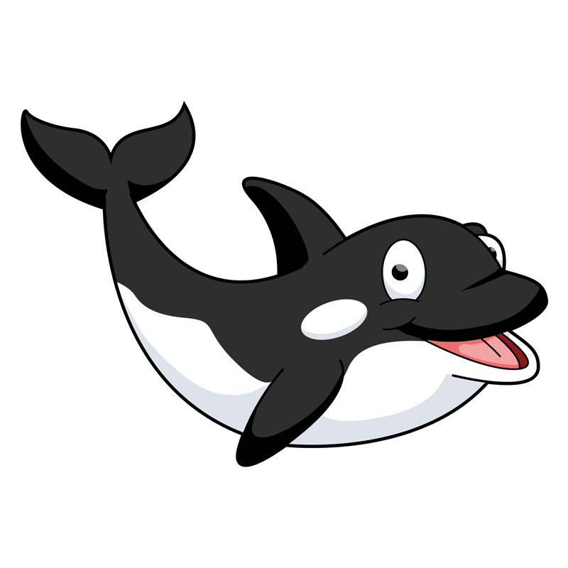 L20 Olivia The Orca