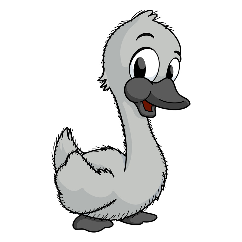 Sidney the Cygnet