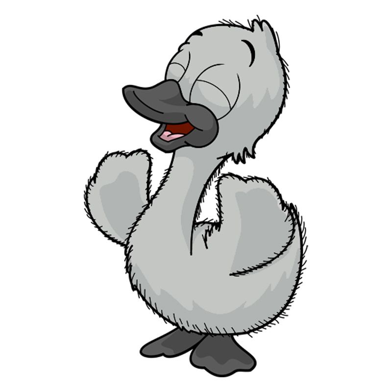 Sidney the Cygnet